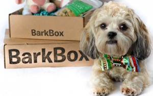 bark box image