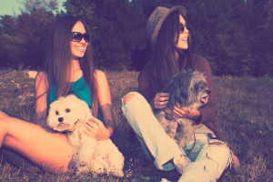 couple of girlfriends with their dogs on meadow retro colors