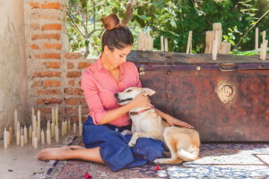 dog training success with older dog fresno