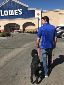 Leash manners training Clovis, CA